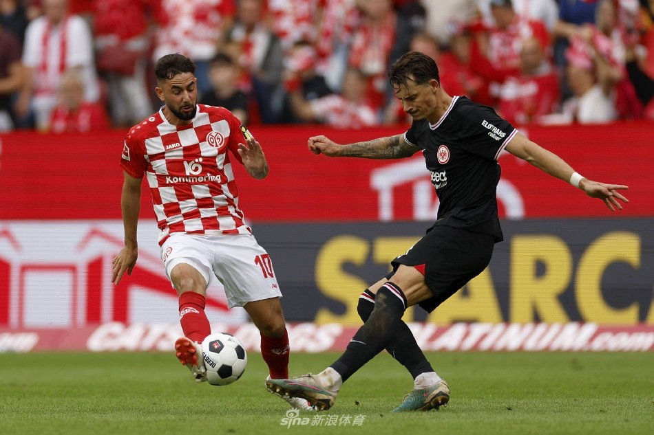 引发了广泛 引发了广泛